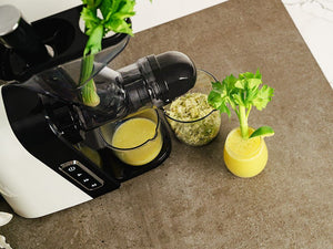 SLOW JUICER - 8